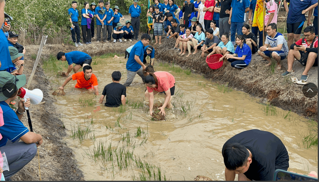 Làng Nổi Tân Lập